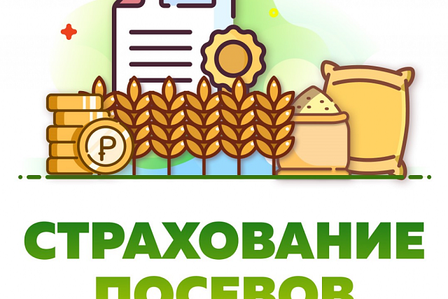 С 2023 года застраховавшие урожай зернопроизводители получат повышенные субсидии на производство С 2023 года застраховавшие урожай зернопроизводители получат повышенные субсидии на производство