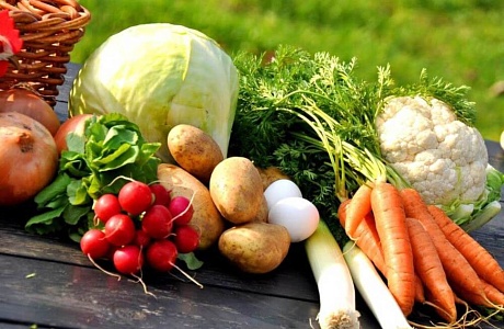 Фермерские продукты становятся ближе
