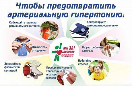 Профилактика гипертонии.